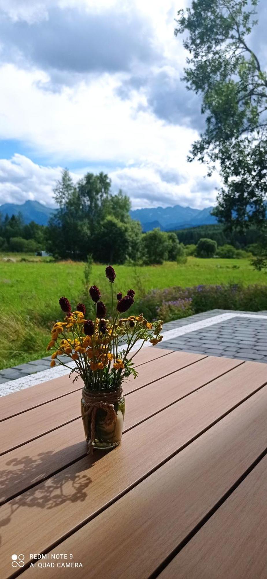 Domki ,,Goramiba" Jurgów Dış mekan fotoğraf